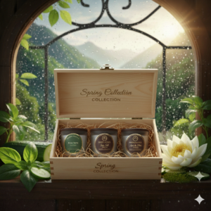 Spring Collection Box